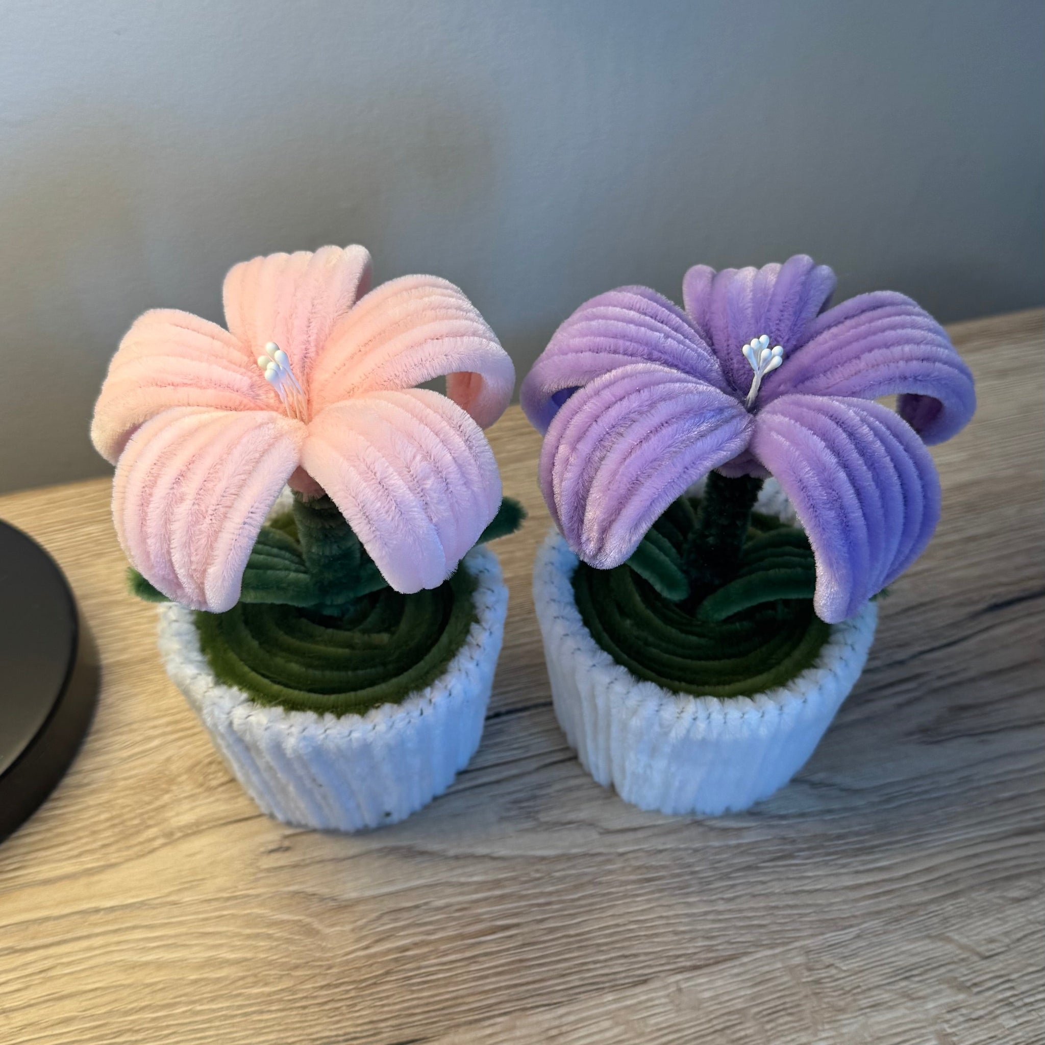 🌼 Eco-Friendly Blooms: Why Fuzzy Flowers Are Better for the Planet