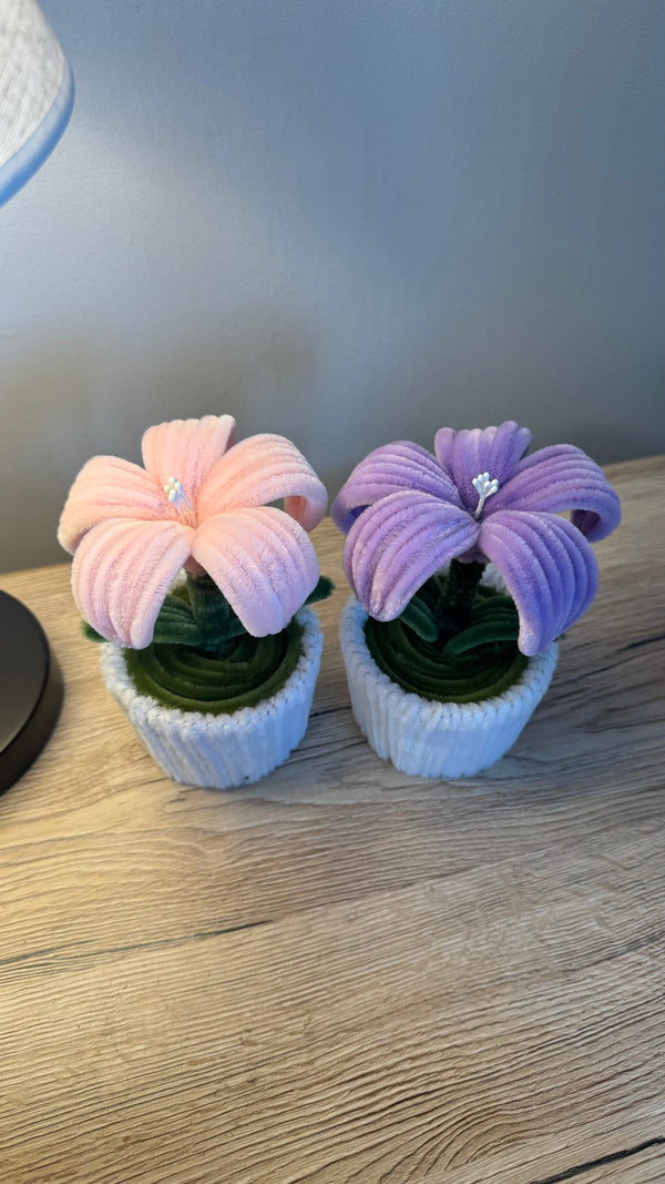 🌼 Eco-Friendly Blooms: Why Fuzzy Flowers Are Better for the Planet