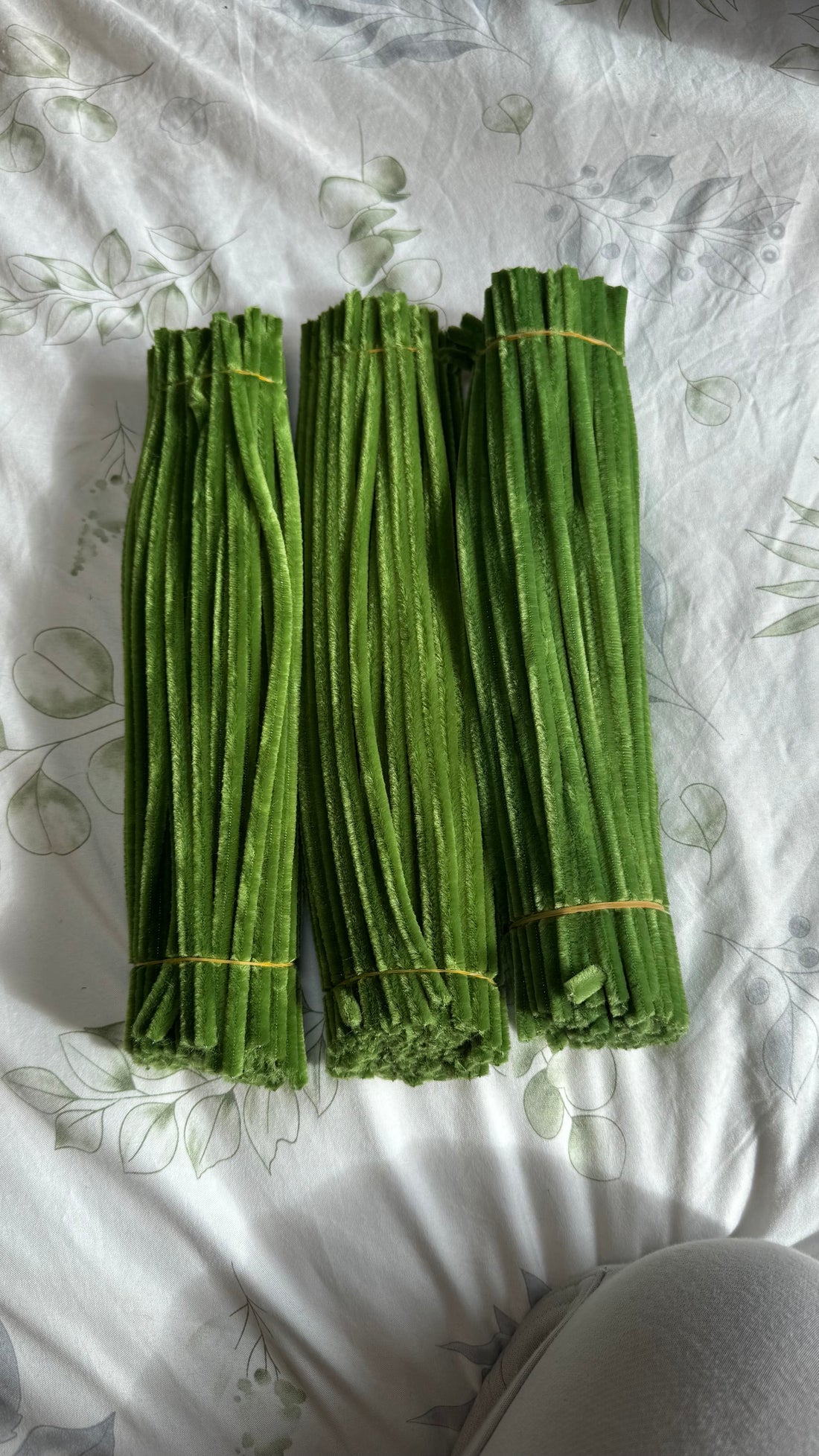 Green pipecleaner set